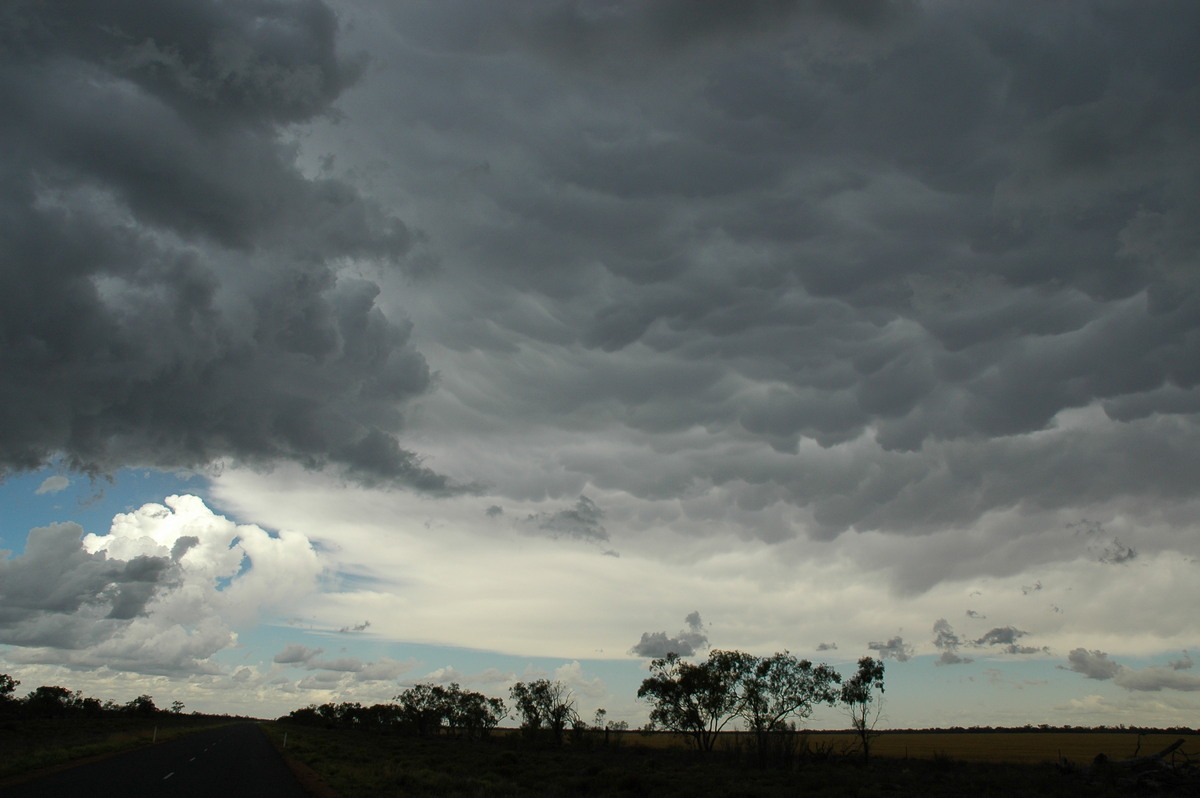 anvil thunderstorm_anvils : W of Walgett, NSW   8 December 2004