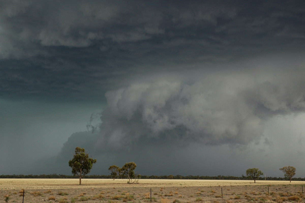 wallcloud thunderstorm_wall_cloud : W of Walgett, NSW   8 December 2004