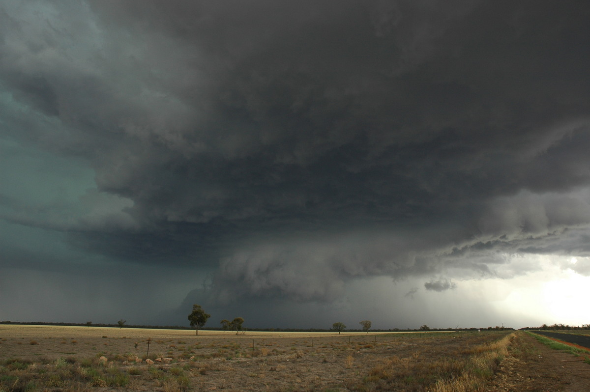 wallcloud thunderstorm_wall_cloud : W of Walgett, NSW   8 December 2004