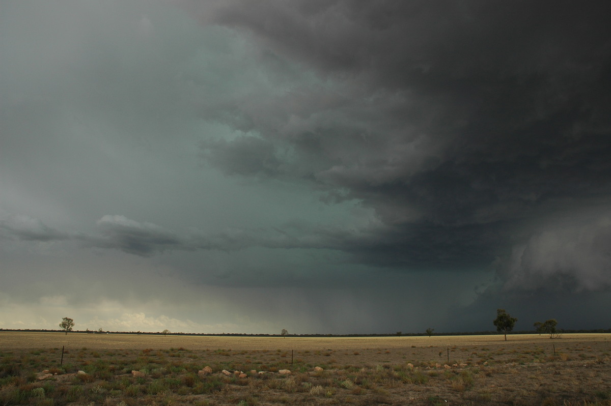 cumulonimbus supercell_thunderstorm : W of Walgett, NSW   8 December 2004