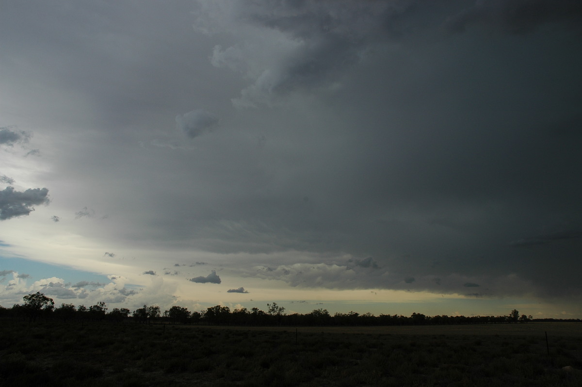 anvil thunderstorm_anvils : W of Walgett, NSW   8 December 2004