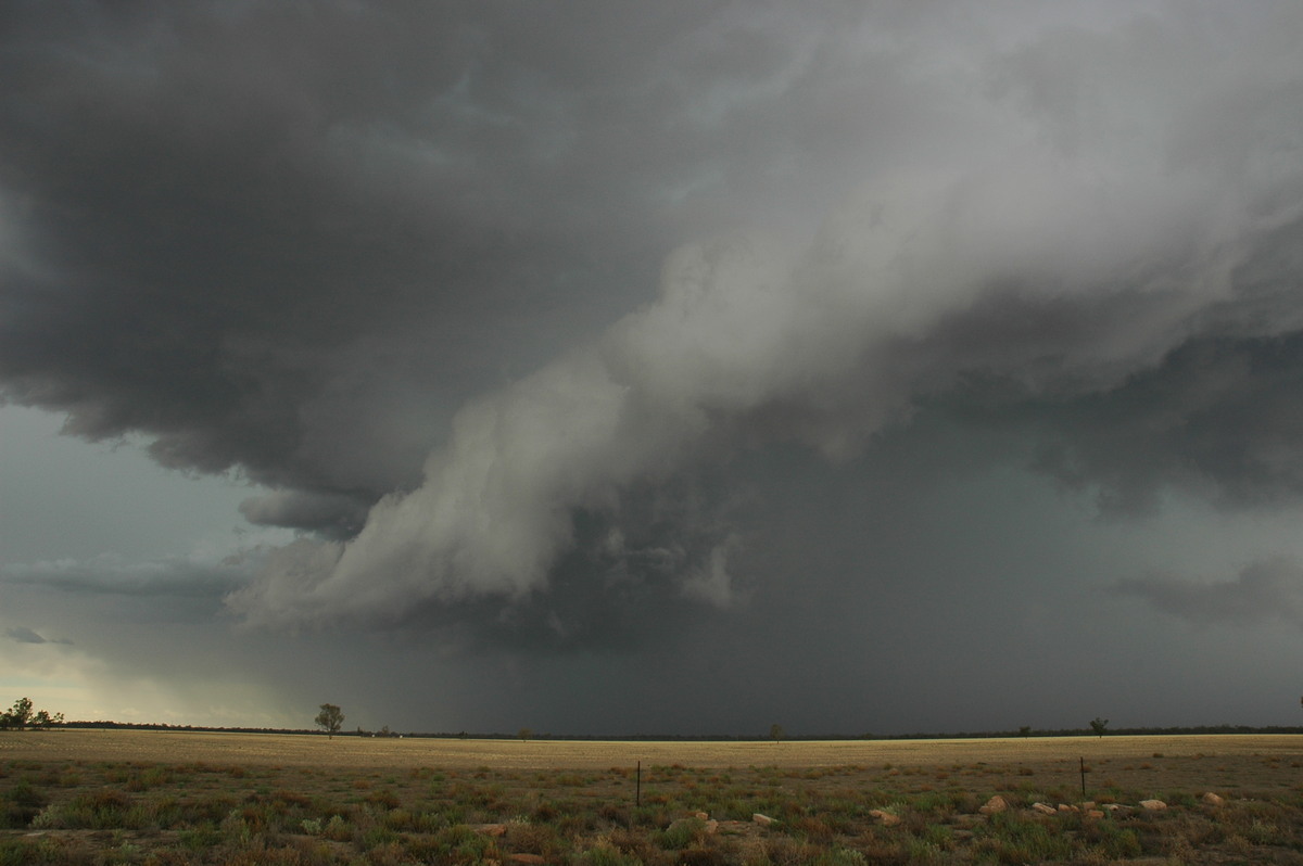 raincascade precipitation_cascade : W of Walgett, NSW   8 December 2004