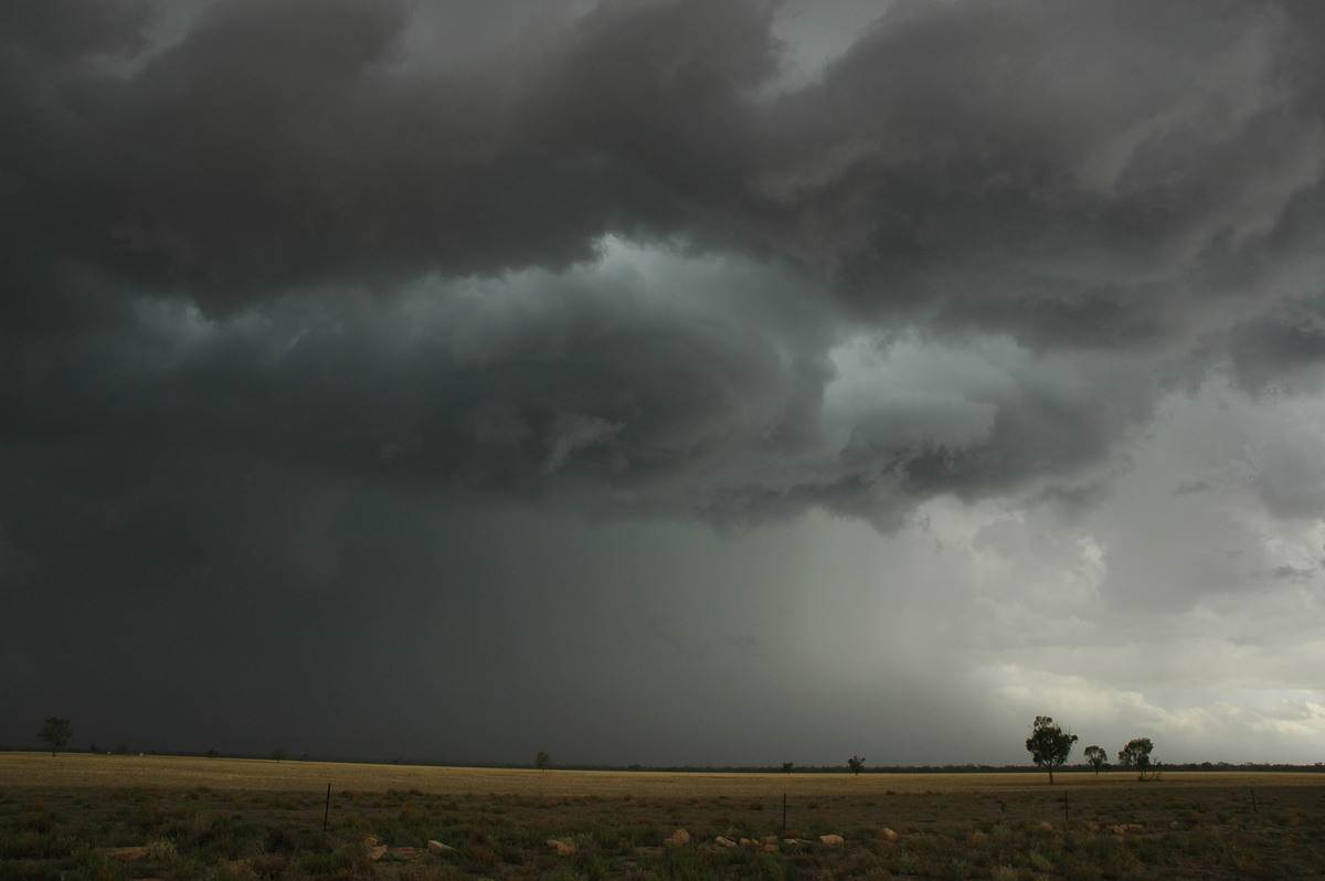 wallcloud thunderstorm_wall_cloud : W of Walgett, NSW   8 December 2004