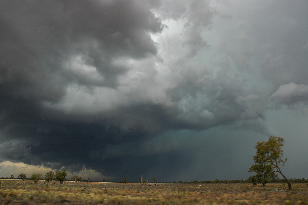 raincascade precipitation_cascade : W of Walgett, NSW   8 December 2004