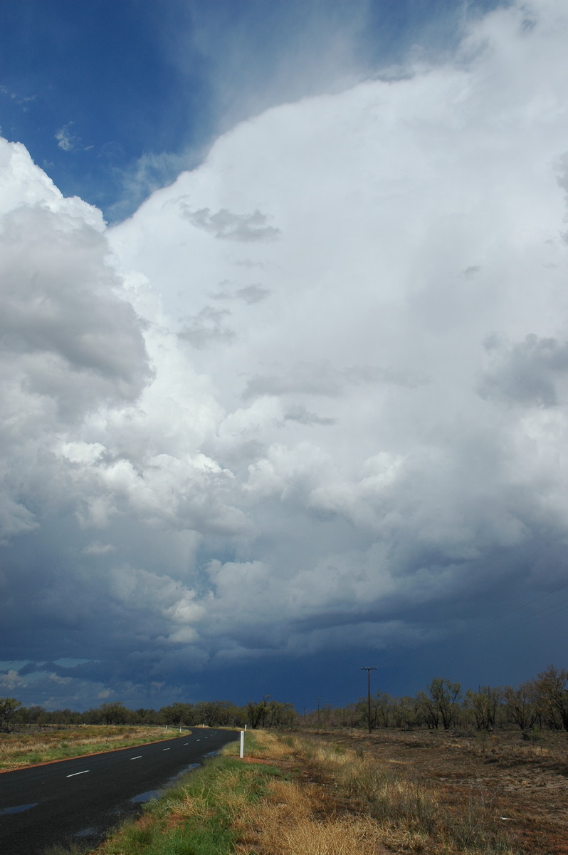 thunderstorm cumulonimbus_incus : W of Walgett, NSW   8 December 2004