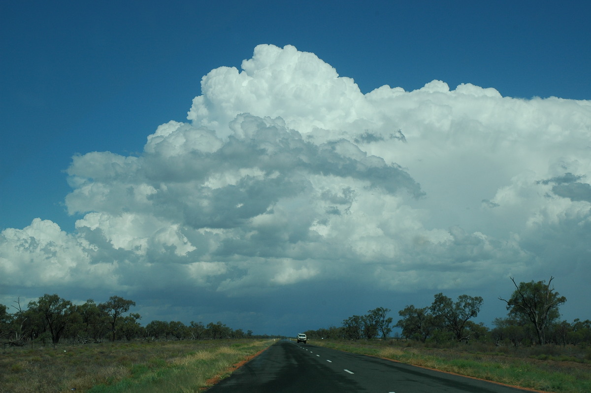 overshoot overshooting_top : W of Walgett, NSW   8 December 2004