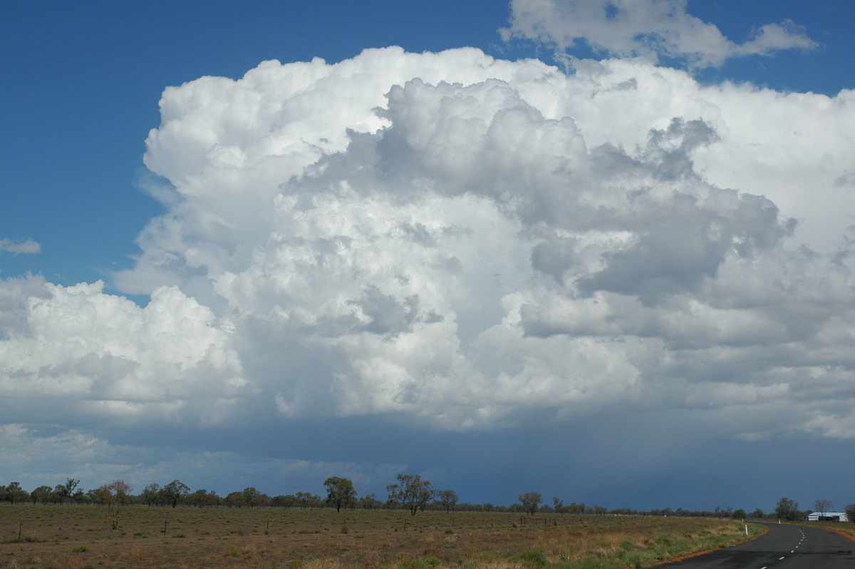 cumulonimbus supercell_thunderstorm : W of Walgett, NSW   8 December 2004