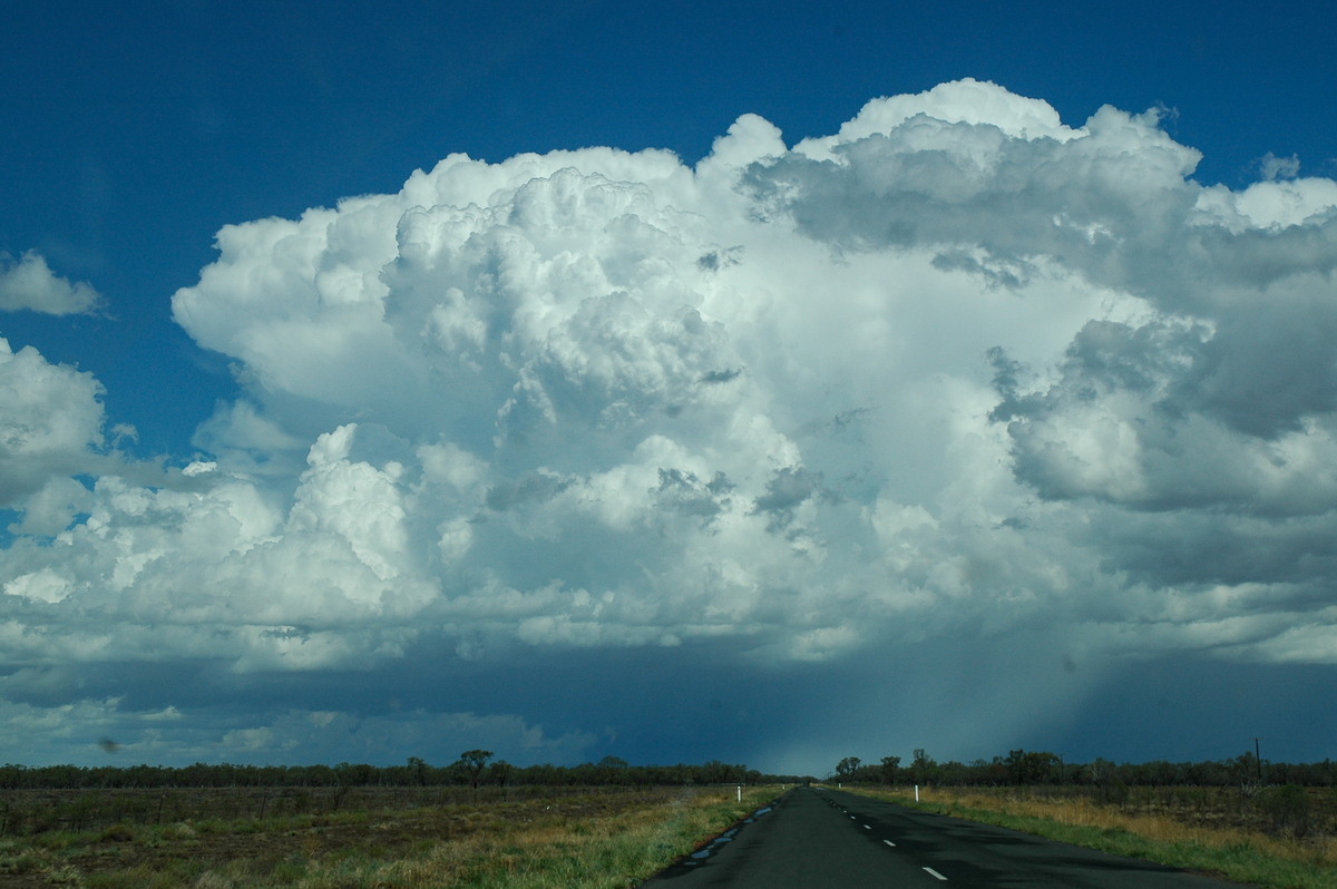 thunderstorm cumulonimbus_incus : W of Walgett, NSW   8 December 2004