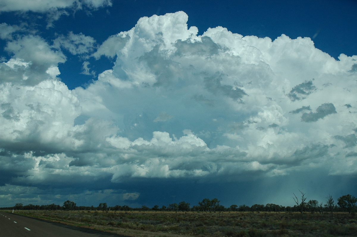 overshoot overshooting_top : W of Walgett, NSW   8 December 2004