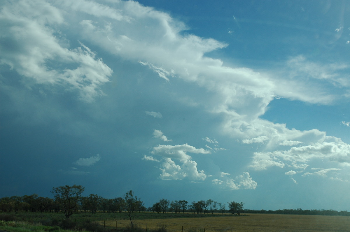 thunderstorm cumulonimbus_incus : Walgett, NSW   8 December 2004