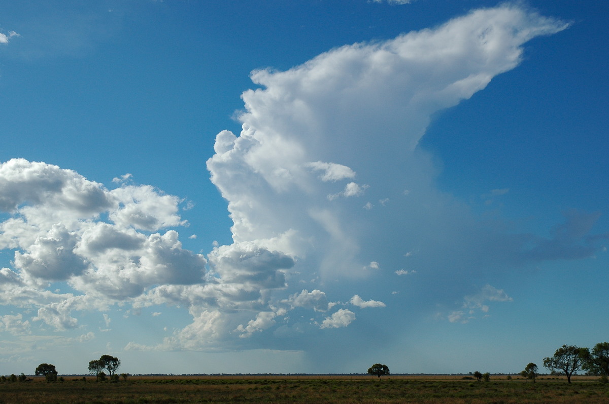 favourites michael_bath : Walgett, NSW   8 December 2004