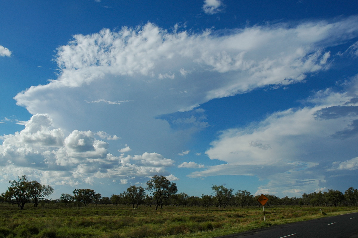 anvil thunderstorm_anvils : Walgett, NSW   8 December 2004