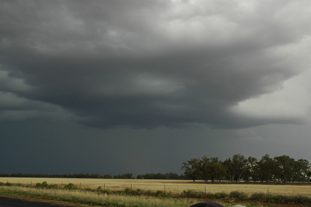 raincascade precipitation_cascade : S of Walgett, NSW   8 December 2004