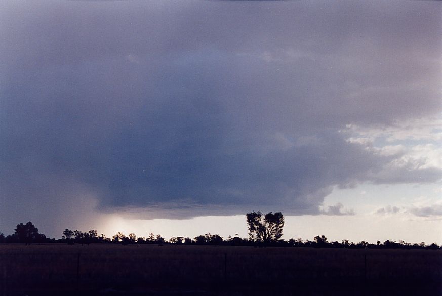 cumulonimbus thunderstorm_base : W of Nyngan, NSW   9 December 2004