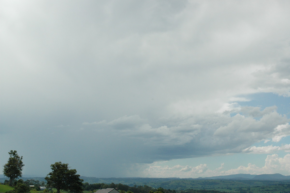 raincascade precipitation_cascade : McLeans Ridges, NSW   12 December 2004