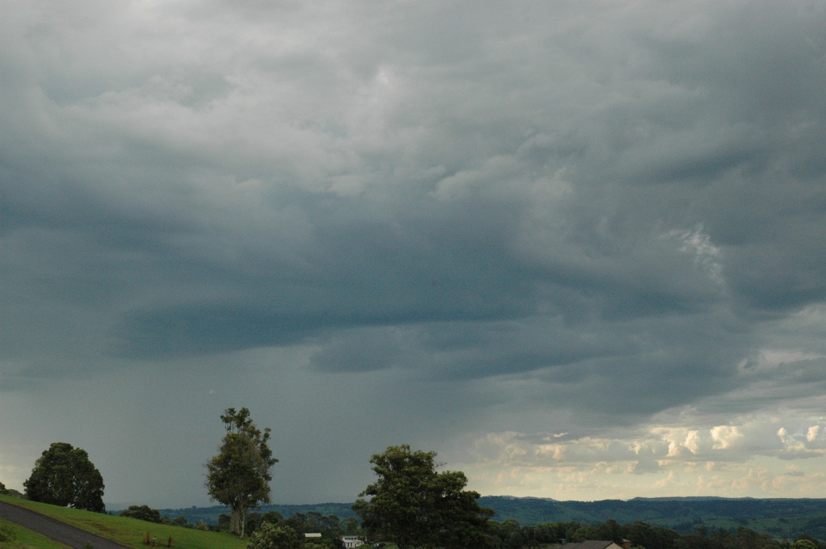 raincascade precipitation_cascade : McLeans Ridges, NSW   12 December 2004