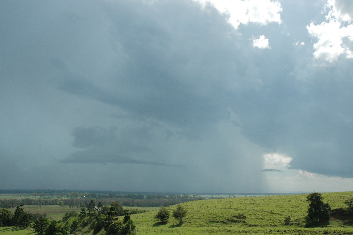 inflowband thunderstorm_inflow_band : Parrots Nest, NSW   13 December 2004