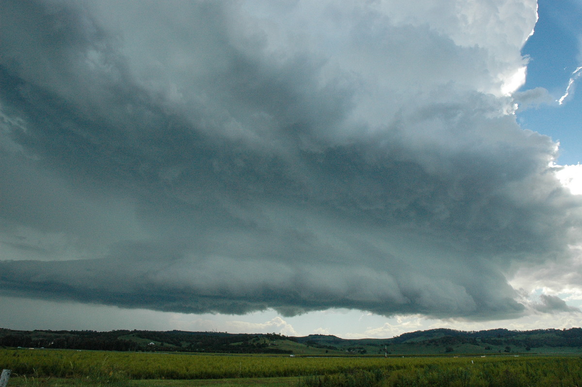 updraft thunderstorm_updrafts : Lismore, NSW   13 December 2004