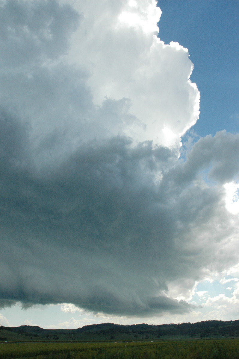 updraft thunderstorm_updrafts : Lismore, NSW   13 December 2004