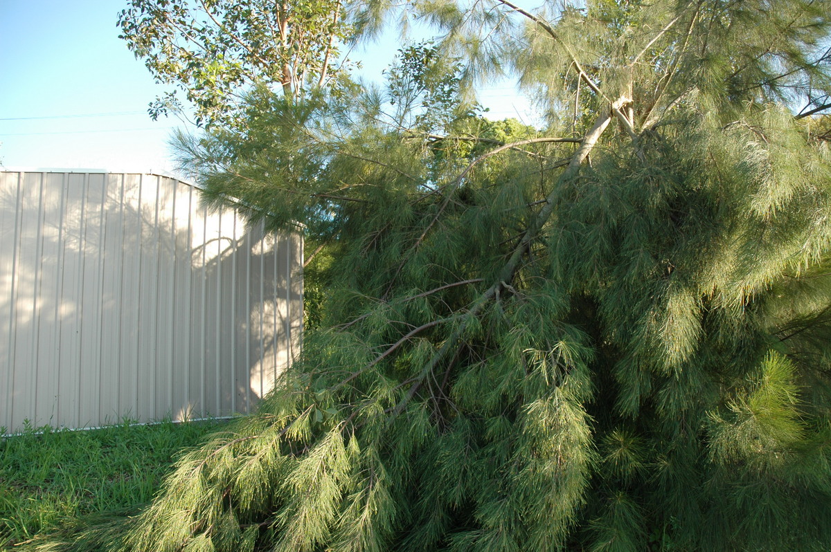 disasters storm_damage : McLeans Ridges, NSW   13 December 2004