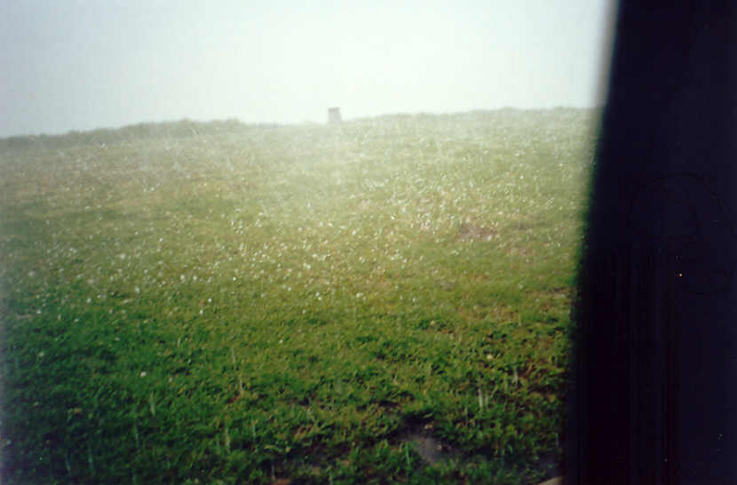 hailstones hail_stones : McLeans Ridges, NSW   13 December 2004