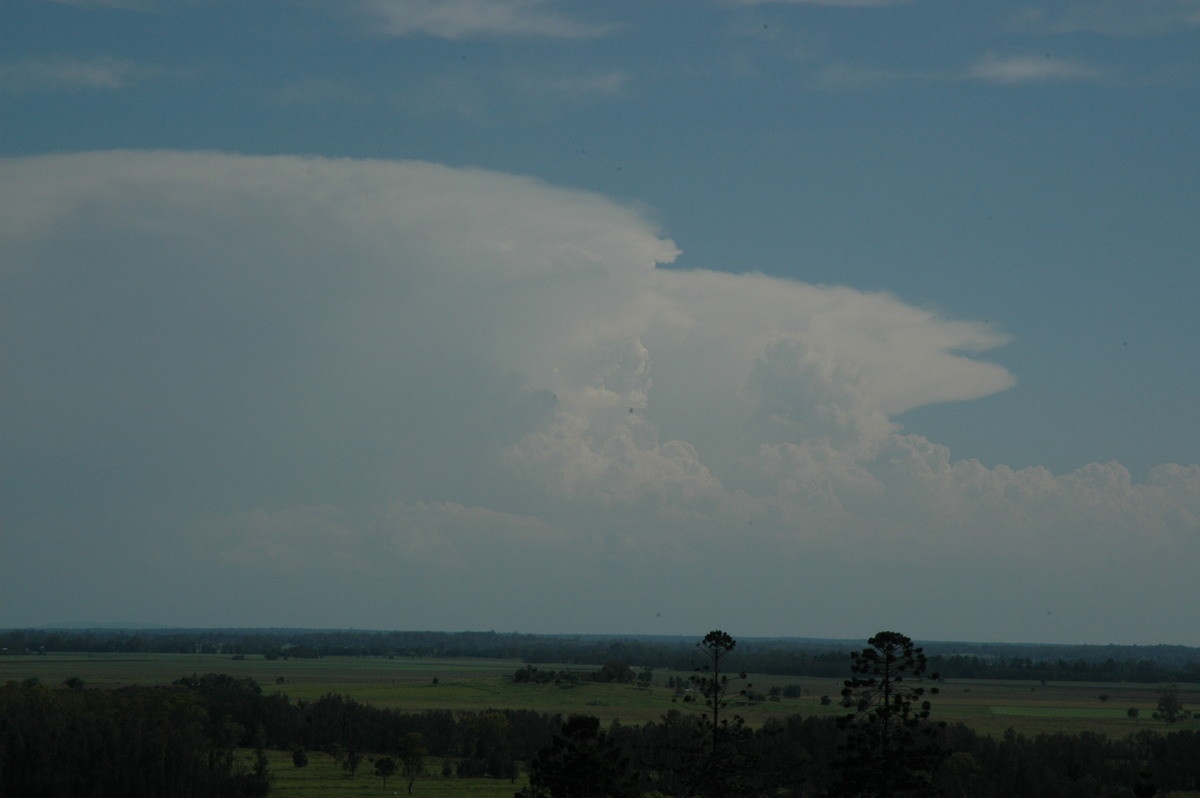 thunderstorm cumulonimbus_incus : Parrots Nest, NSW   19 December 2004