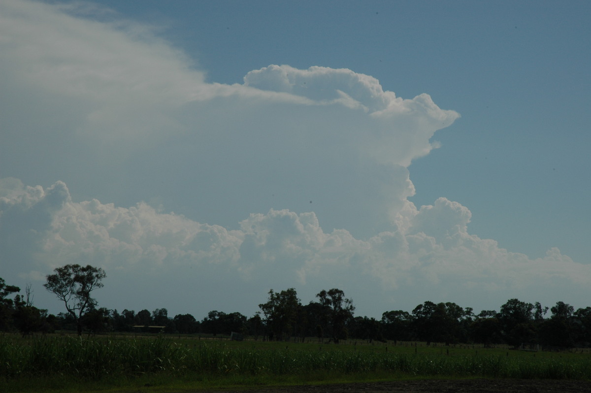 thunderstorm cumulonimbus_incus : Coraki, NSW   19 December 2004