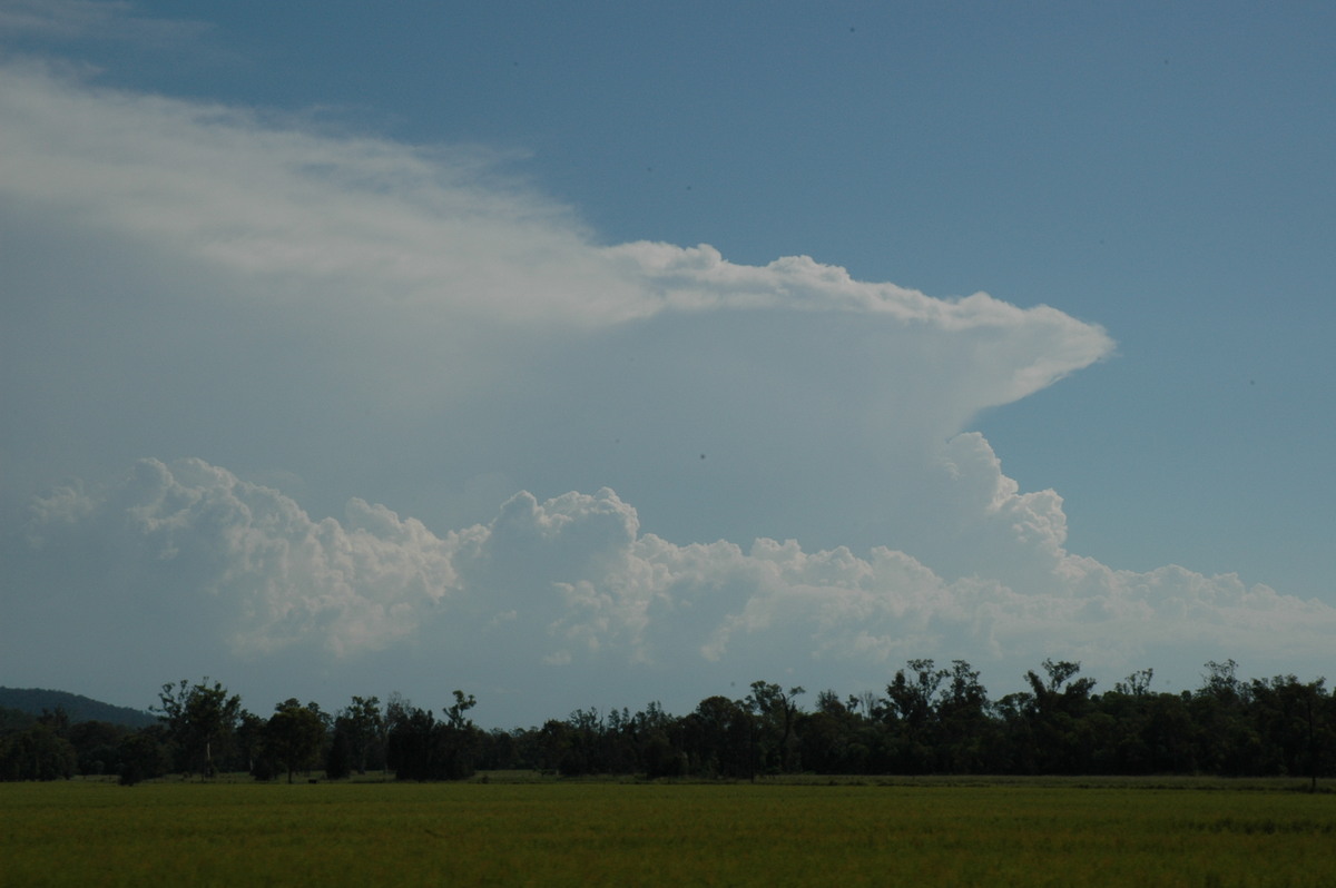 thunderstorm cumulonimbus_incus : Coraki, NSW   19 December 2004