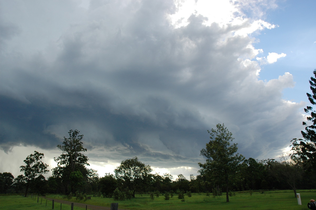 shelfcloud shelf_cloud : near Whiporie, NSW   19 December 2004