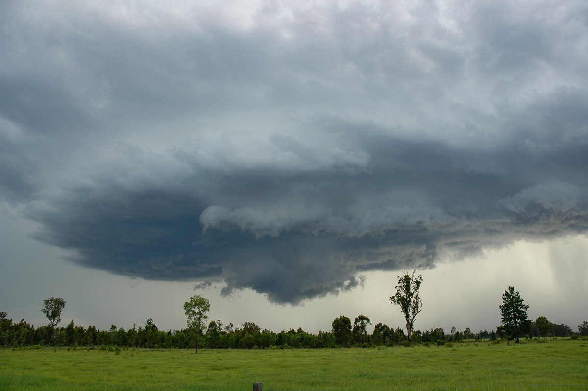 wallcloud thunderstorm_wall_cloud : near Whiporie, NSW   19 December 2004