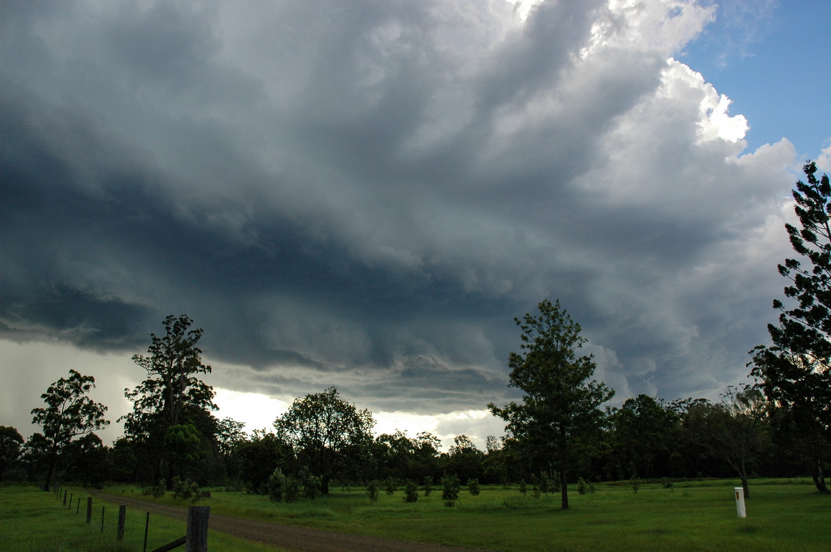 shelfcloud shelf_cloud : near Whiporie, NSW   19 December 2004