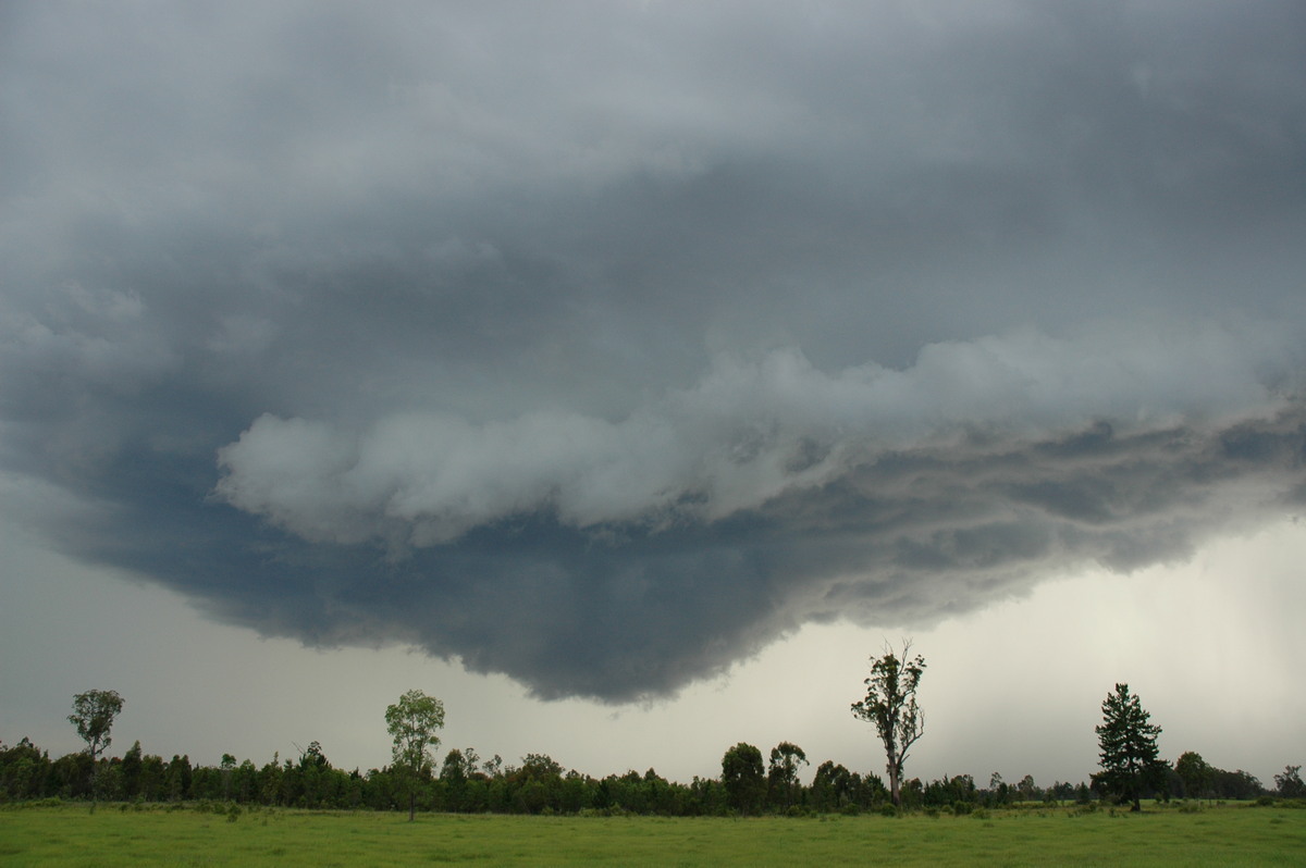 cumulonimbus thunderstorm_base : near Whiporie, NSW   19 December 2004