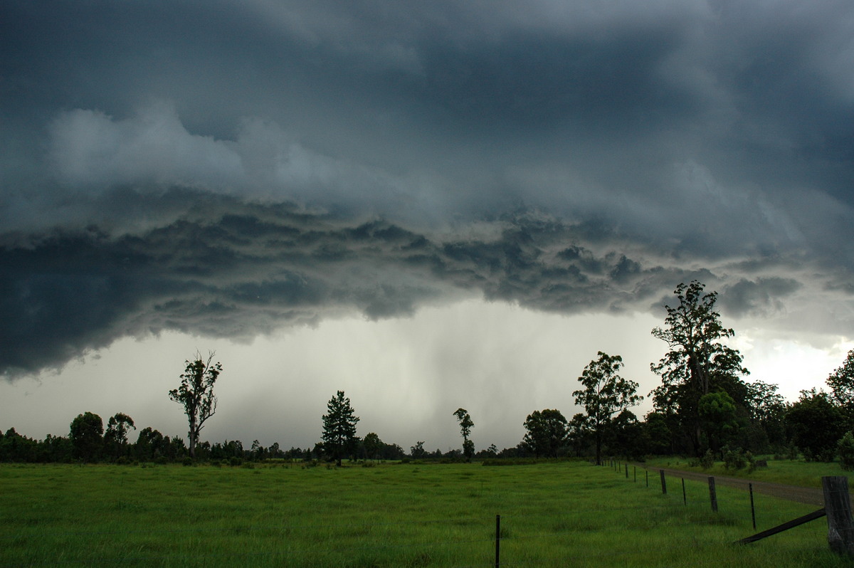 shelfcloud shelf_cloud : near Whiporie, NSW   19 December 2004