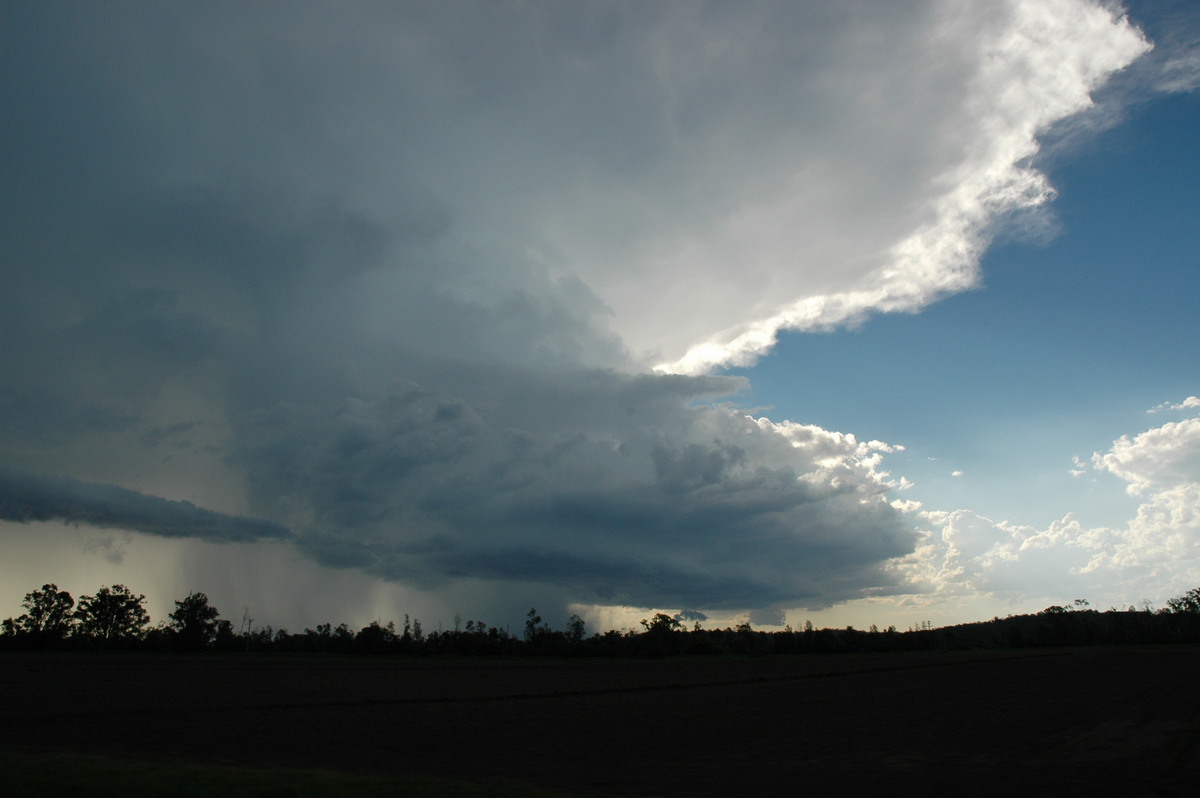 thunderstorm cumulonimbus_incus : near Coraki, NSW   19 December 2004