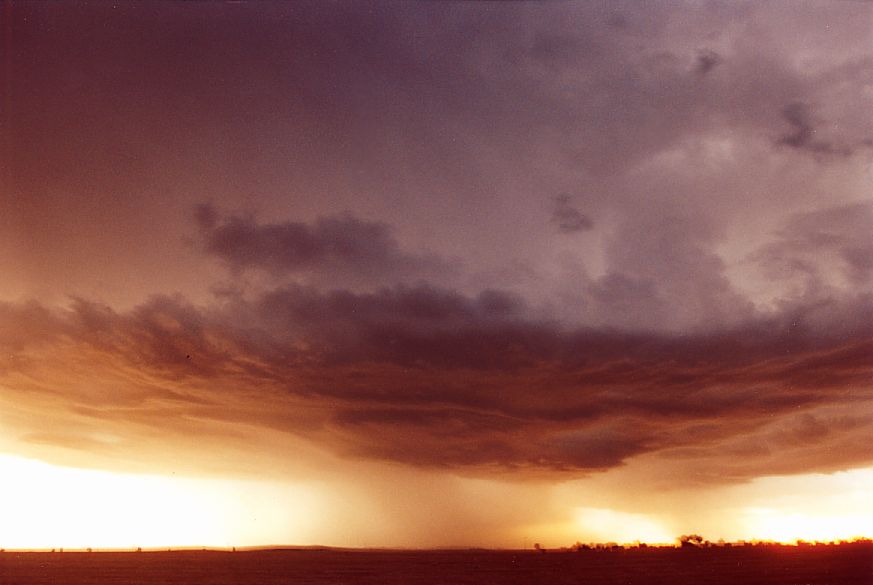 sunset sunset_pictures : S of Dubbo, NSW   23 December 2004