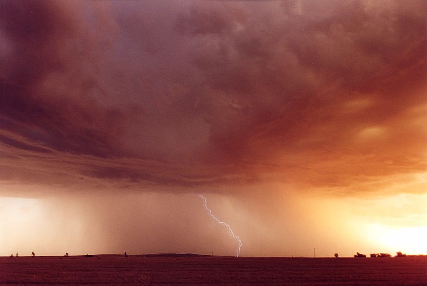 favourites jimmy_deguara : SW of Dubbo, NSW   23 December 2004