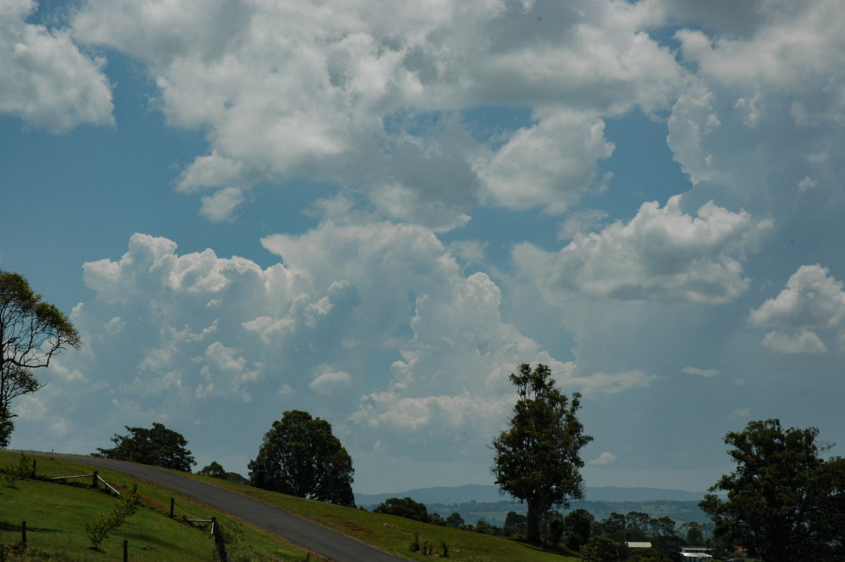 thunderstorm cumulonimbus_calvus : McLeans Ridges, NSW   23 December 2004