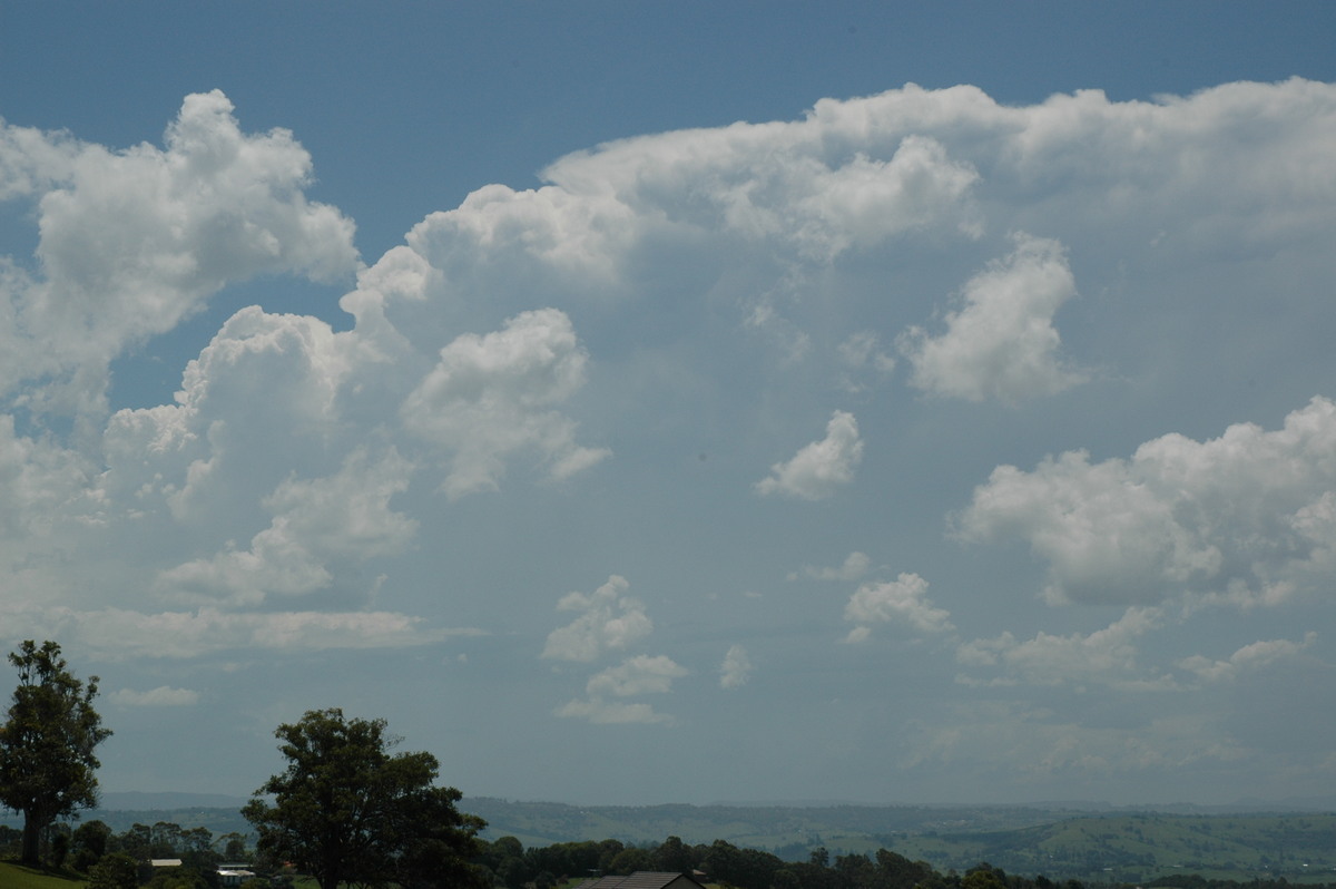 thunderstorm cumulonimbus_incus : McLeans Ridges, NSW   23 December 2004