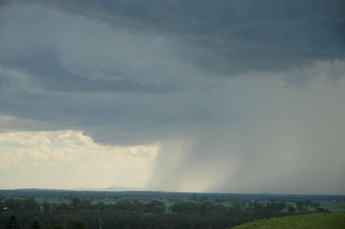 raincascade precipitation_cascade : Parrots Nest, NSW   23 December 2004