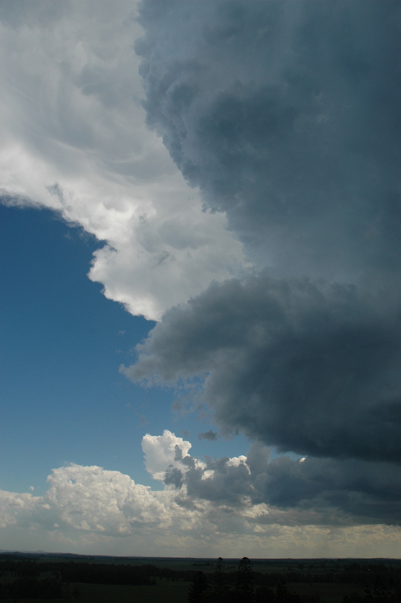 updraft thunderstorm_updrafts : Parrots Nest, NSW   23 December 2004