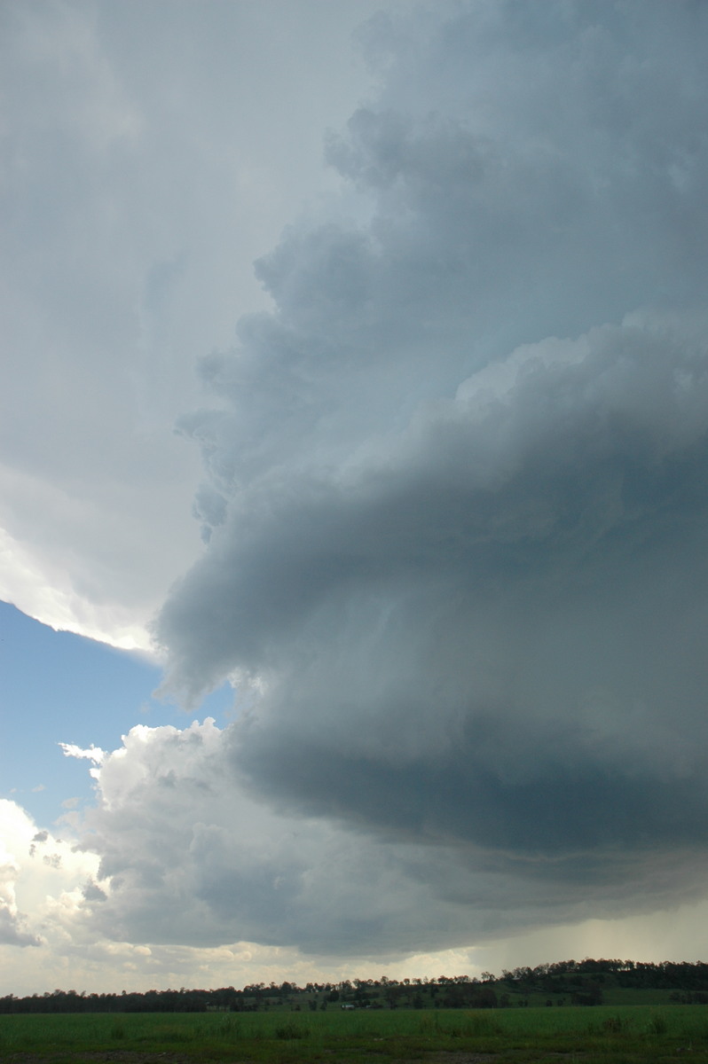 updraft thunderstorm_updrafts : Parrots Nest, NSW   23 December 2004