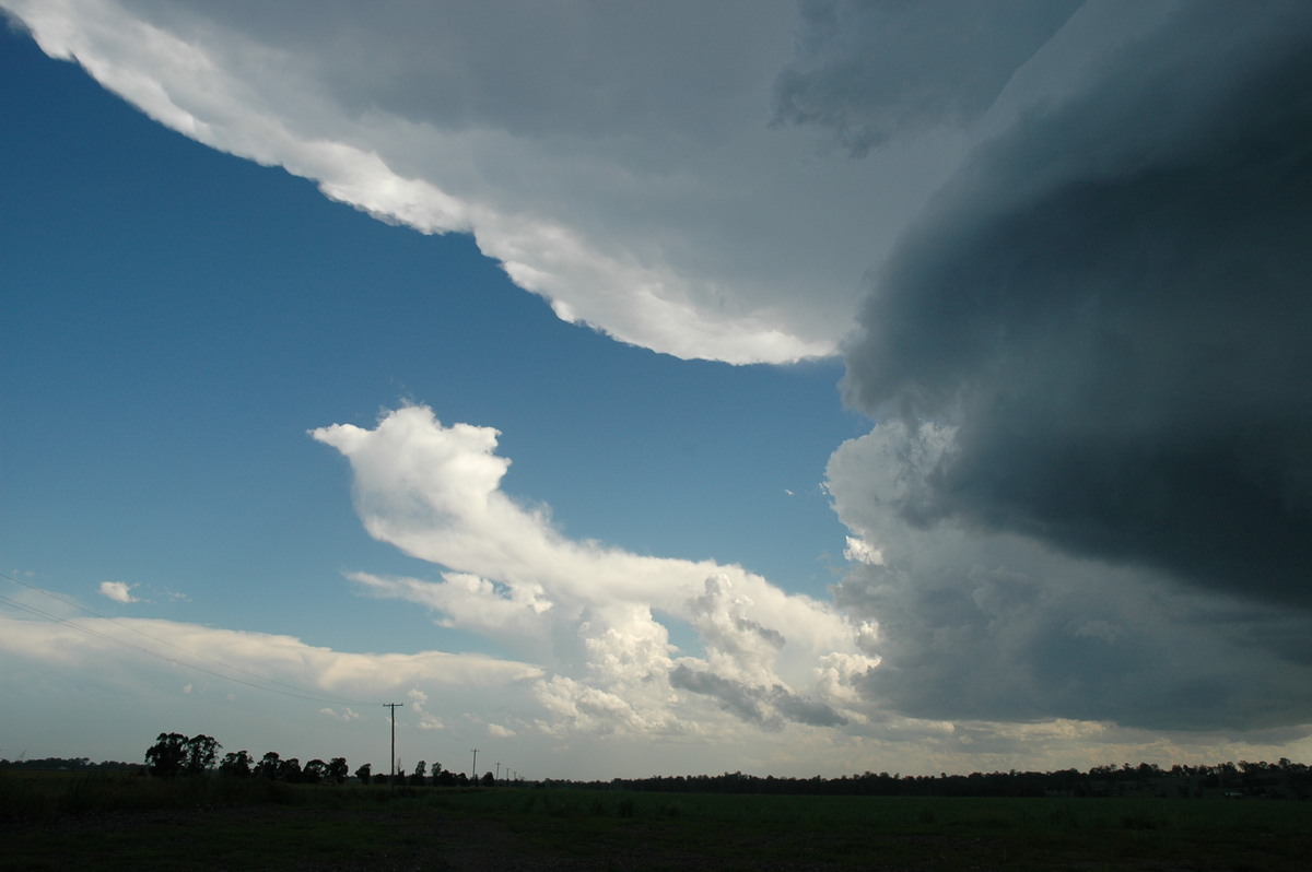 updraft thunderstorm_updrafts : near Coraki, NSW   23 December 2004