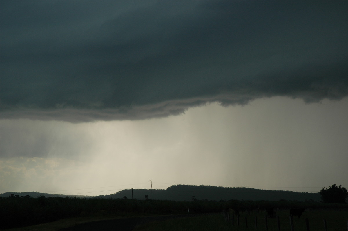 raincascade precipitation_cascade : Woodburn, NSW   23 December 2004