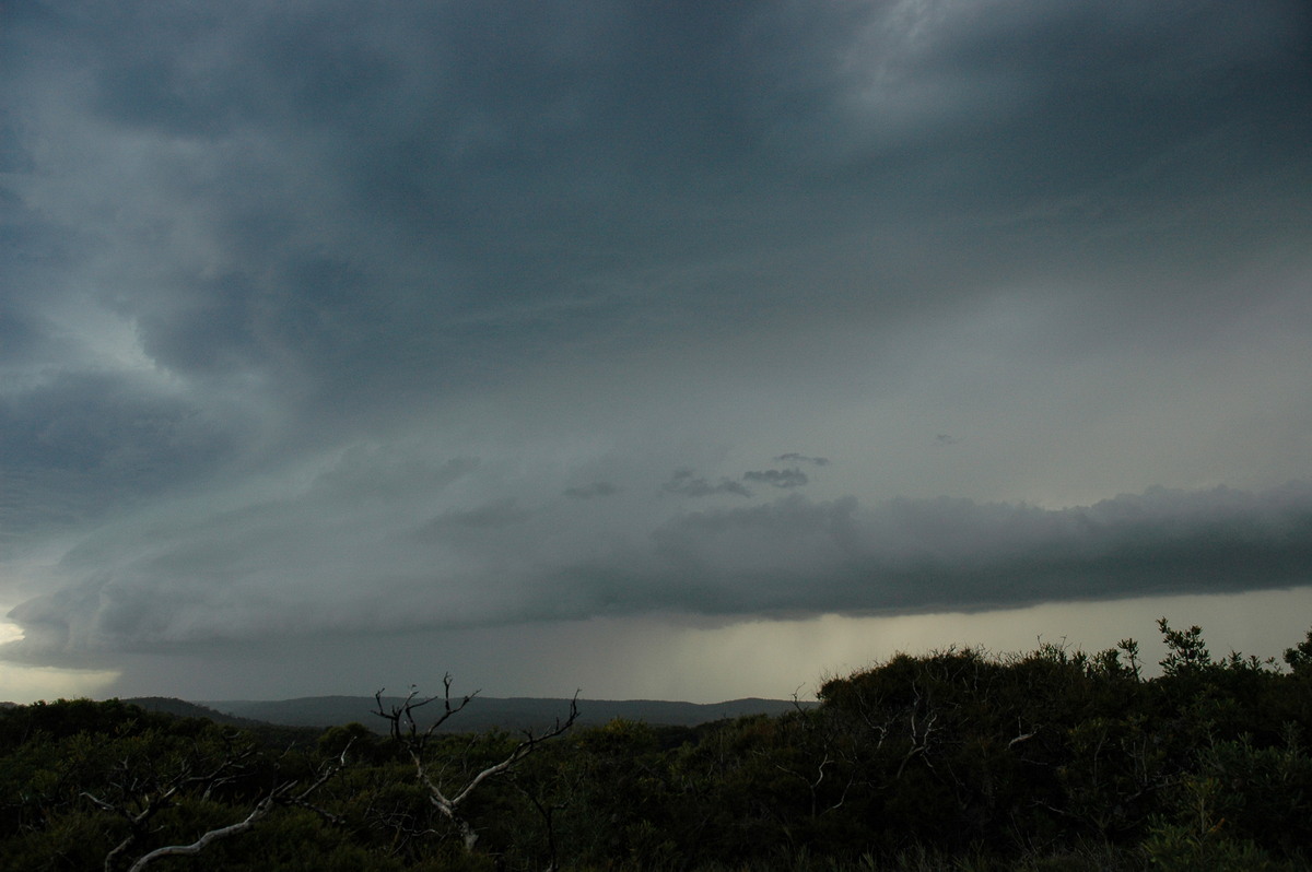 shelfcloud shelf_cloud : Evans Head, NSW   23 December 2004