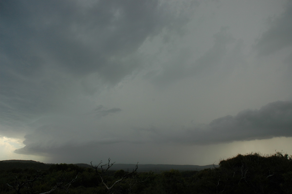 raincascade precipitation_cascade : Evans Head, NSW   23 December 2004