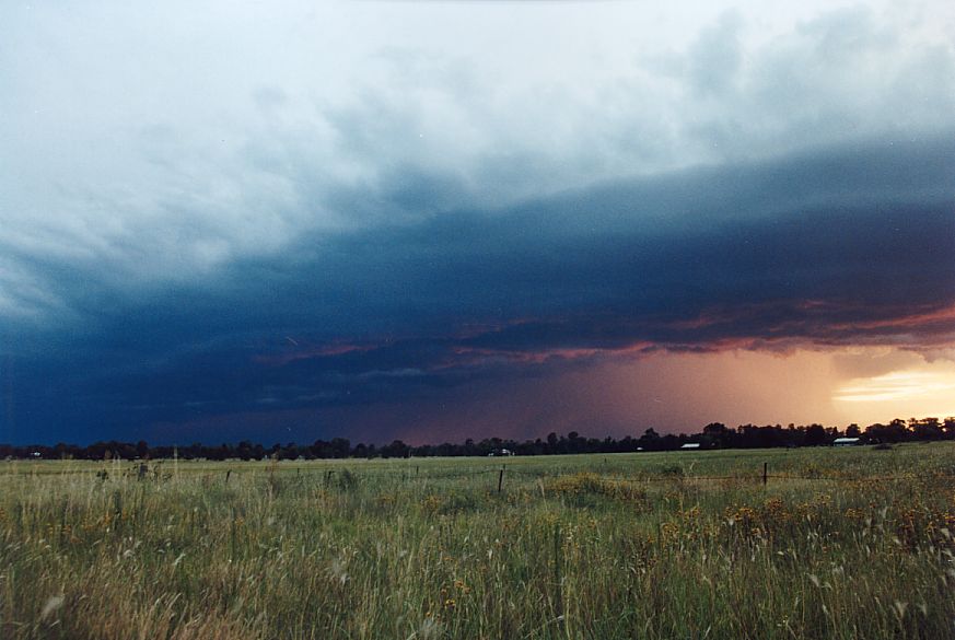 shelfcloud shelf_cloud : Narrabri, NSW   24 December 2004