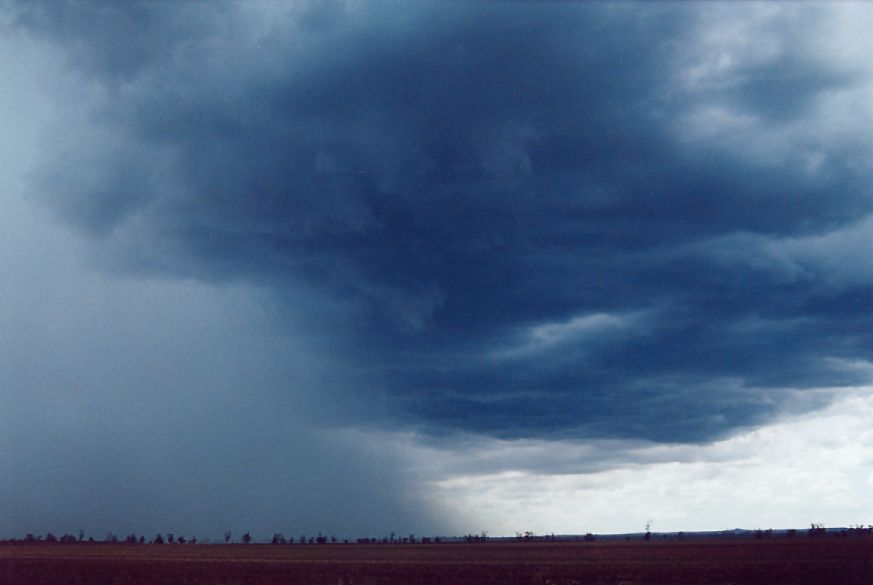 raincascade precipitation_cascade : W of Gunnedah, NSW   25 December 2004