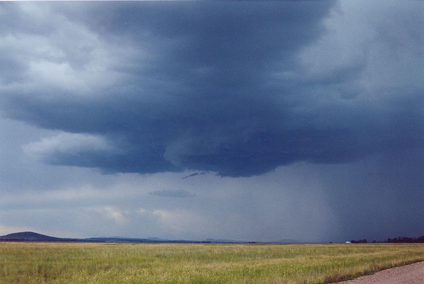 raincascade precipitation_cascade : W of Gunnedah, NSW   25 December 2004