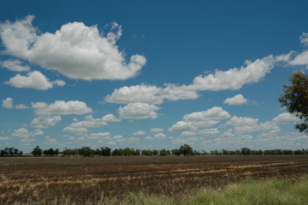 favourites michael_bath : Moree, NSW   26 December 2004