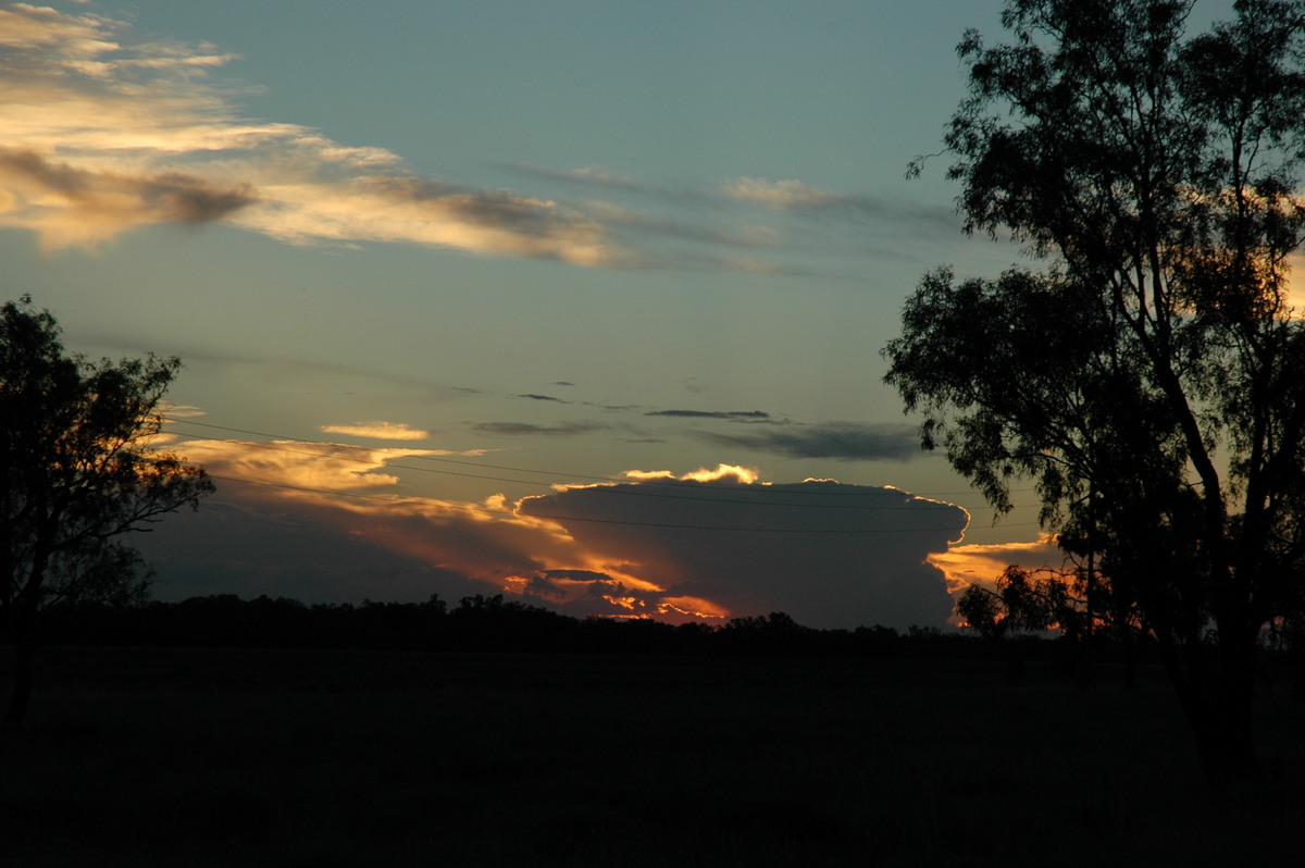 sunset sunset_pictures : W of Moree, NSW   26 December 2004